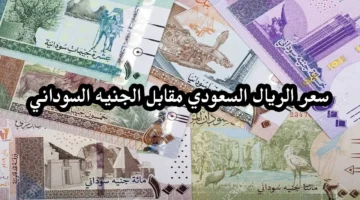 سعر الريال السعودي مقابل الجنيه السوداني اليوم في السوق السوداء اليوم .. تعرف على سعر الصرف الآن